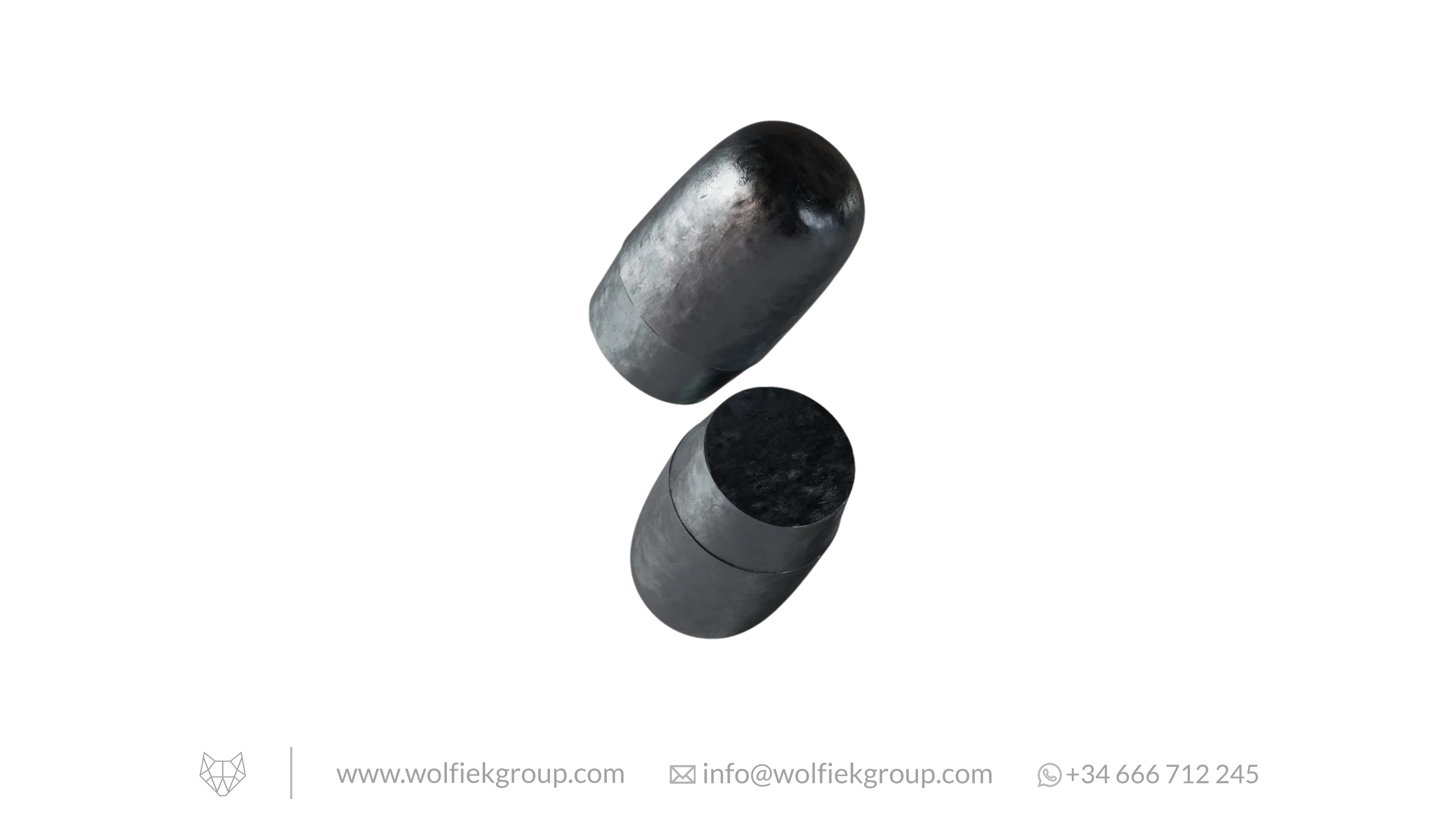 Zan Projectiles Airgun Slugs ELR - Cal .25 (6.5mm) - 3.97g (61.3gr)