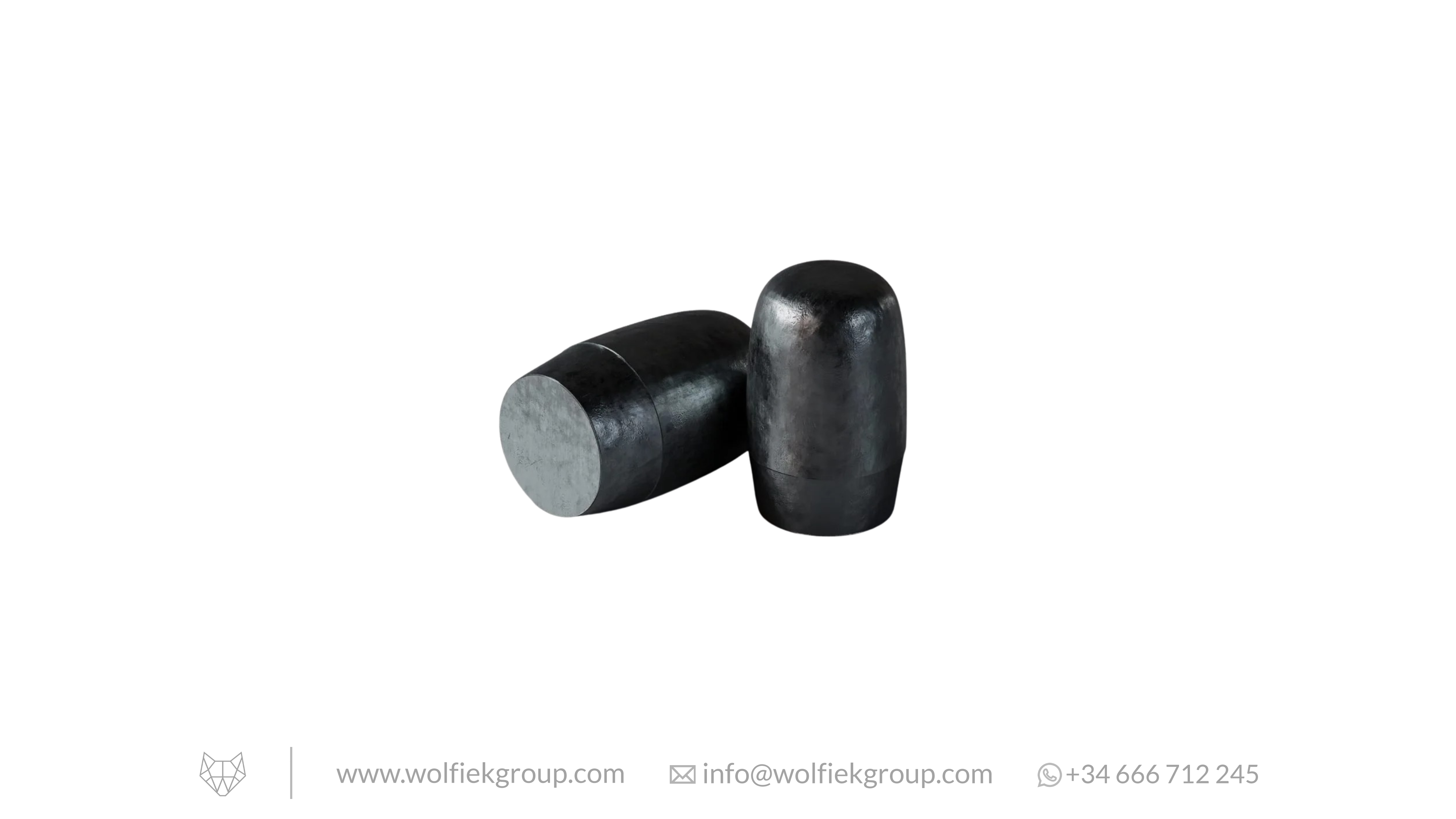 Zan Projectiles Airgun Slugs ELR - Cal .25 (6.5mm) - 3.97g (61.3gr)